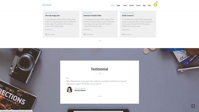 Vitameen Business Responsive WordPress Theme смотреть онлайн