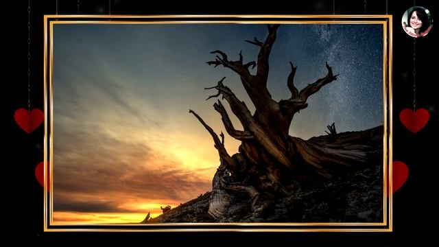 ПОГРАНИЧНИКИ. БЕЗВЫИГРЫШНЫЕ ОТНОШЕНИЯ. РАСШИФРОВКА ЗАГАДОК ПРЛ (лекция Сэма Вакнина) смотреть онлайн