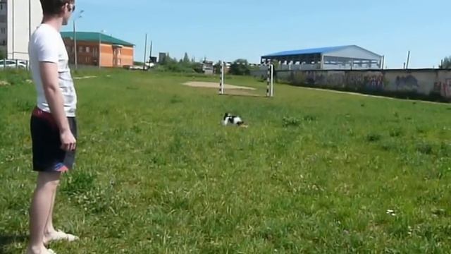 P1130644 смотреть онлайн