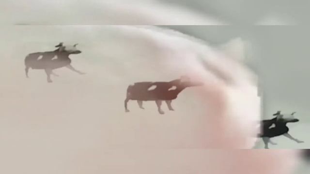 танцующая корова?. лучшая подборка танцующей коровы. танцующая корова в амонг ас. смотреть онлайн