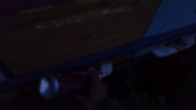 Переехали на поздний подсолнух, начинаем обработки от клеща смотреть онлайн