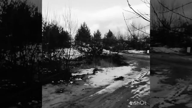 4 марта 2020 г. смотреть онлайн