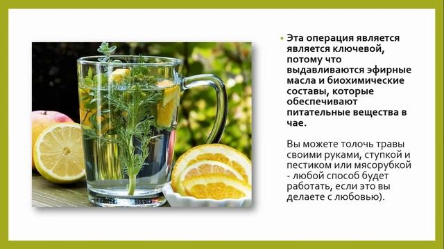 Как приготовить идеальную чашку травяного чая смотреть онлайн