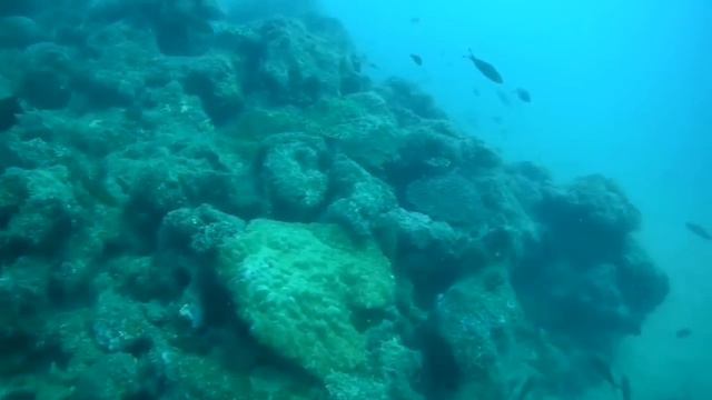 +Ep 63 surah Yaseen | surah AR Rahman | surah Al waqiah | surah Al mulk | Abdur Rahman Al Sudais | смотреть онлайн