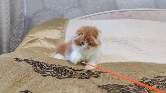 Уникум смотреть онлайн