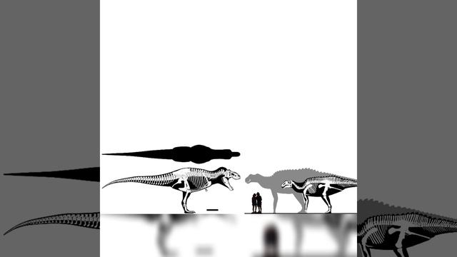 Tyrannosaurus Rex And Gryposaurus Size Comparison (Updated)