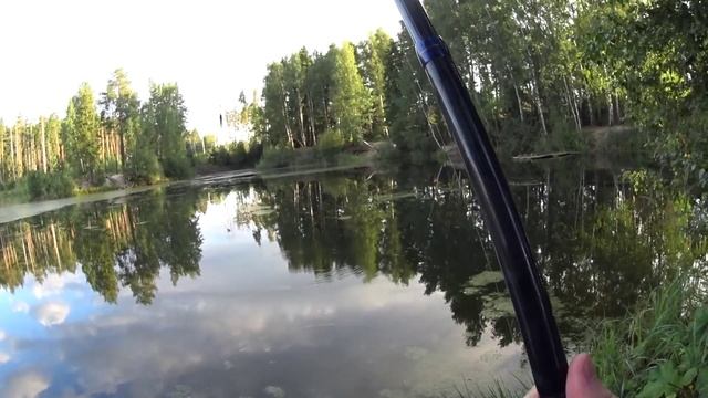 Рыбалка на втором озере Звездного городка. Московская область смотреть онлайн