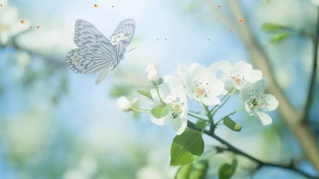 Расслабляющая музыка для сна для снятия стресса, музыка для глубокого сна, музыка для медитации