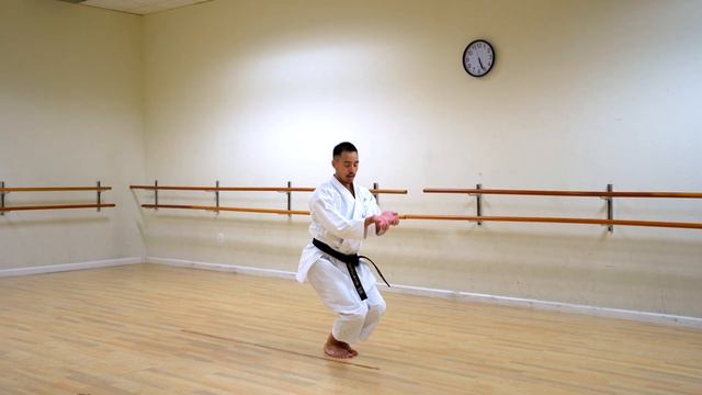 Kata UNSU Full Tutorial смотреть онлайн