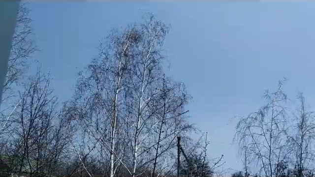 22 апреля -День святого Вадима смотреть онлайн
