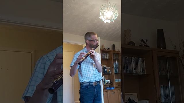 Once upon a December on the flute смотреть онлайн
