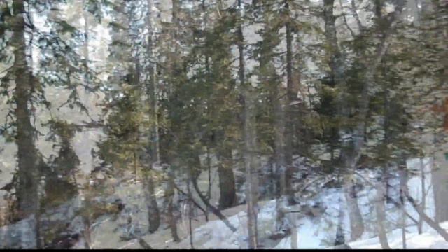 Манжерок. Горный Алтай. Февраль 2019 смотреть онлайн
