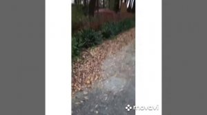 пгт.Ямполь, Лиманский р-н, Донецкая обл.