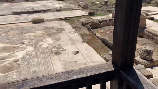 1.Национальный парк «Ципори» 🇮🇱( из серии «Путешествуем с детьми») смотреть онлайн