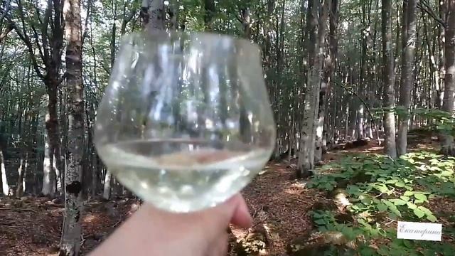 Италия. Тоскана. Монте - Амиата. Летняя прогулка. смотреть онлайн