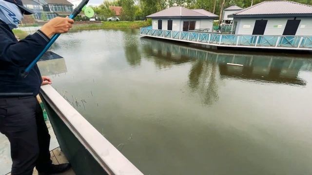 Рыбалка на культурном водоеме #рыбалка #рыбалкавказахстане #казахстан #gor смотреть онлайн