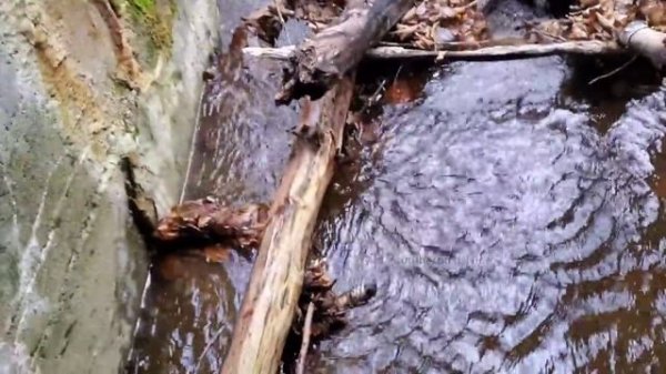 Unclogging Granite Box Culvert