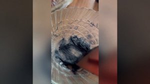 Замешиваем порошок джагуа на джагуа гель