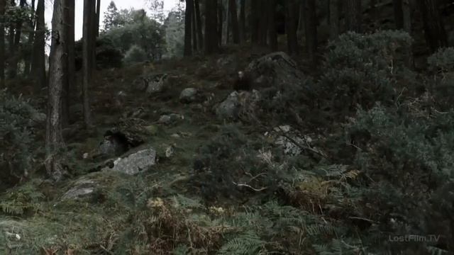 Ragnar Lodbrok/ смотреть онлайн