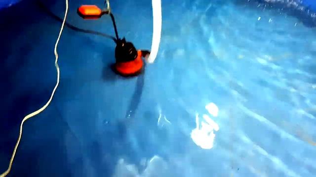 Стерлядь в аквариуме. 2 мес. Переезд и обновление аквы смотреть онлайн