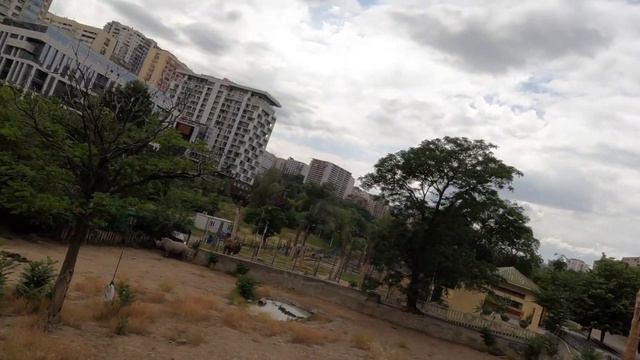 vlog 14 Тбилисский зоопарк НЕВЕРОЯТНЫЕ ЖИВОТНЫЕ смотреть онлайн