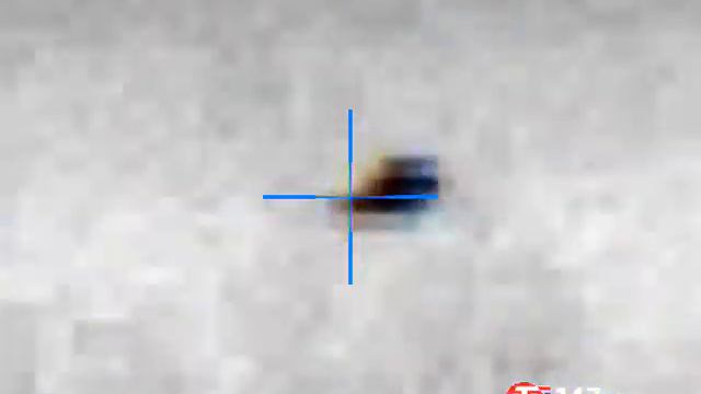 Охота на шакалов с подхода 2.