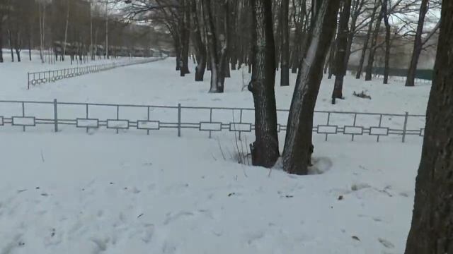 Дубовая роща - сквер на (пока ещё) самом краю Рязани (Парки Рязани 7) смотреть онлайн