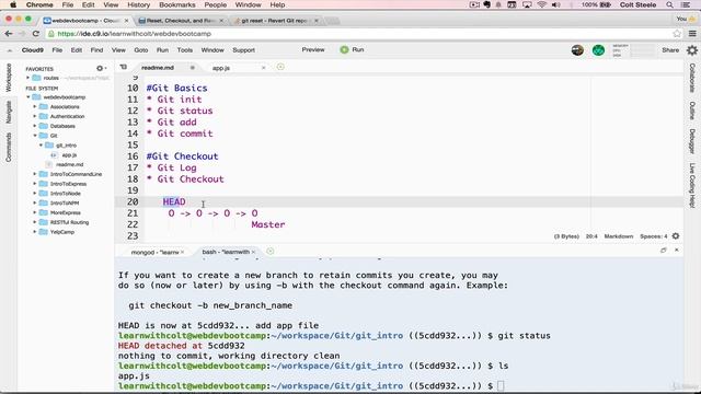Git Log and Checkout смотреть онлайн