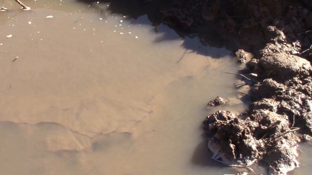 сьёмки 11 04 когда писал заявления в жкх и администрацию ! смотреть онлайн