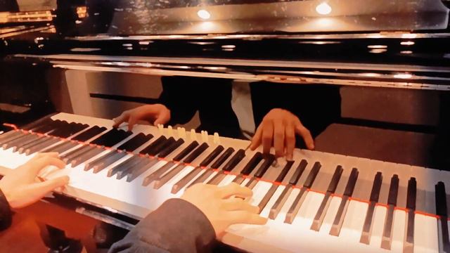 【ピアノ】SecretGarden EmpathP Undertale/flowerfell Piano Cover