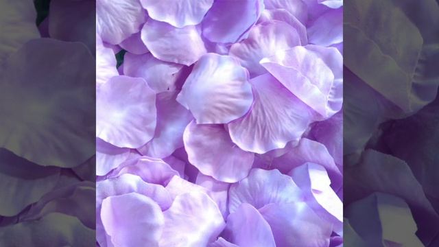 Волшебный День Агни. Лепестки Розы.