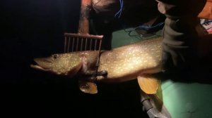 Рыбалка с острогой ноябрь 22. Есть контакт