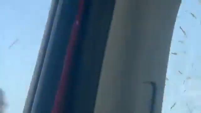 28 mai 2023 смотреть онлайн