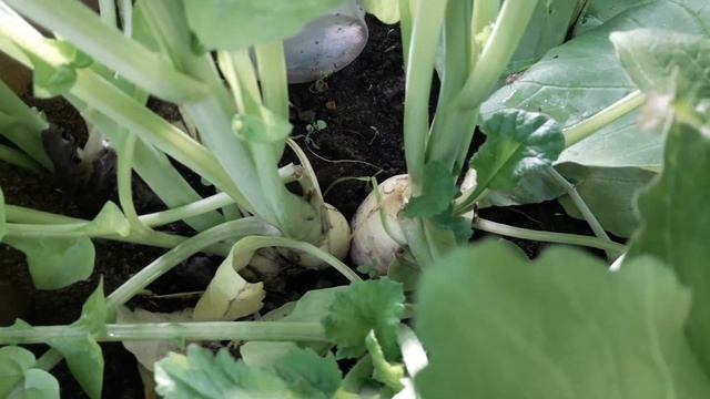 Стройка Глазами Архитектора