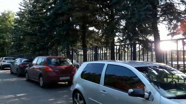 Потянуло на размышления.У подруги Ковид.Где купить и цены на кустики и цветы для дачи. смотреть онлайн