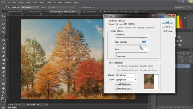 Photoshop - Match Color