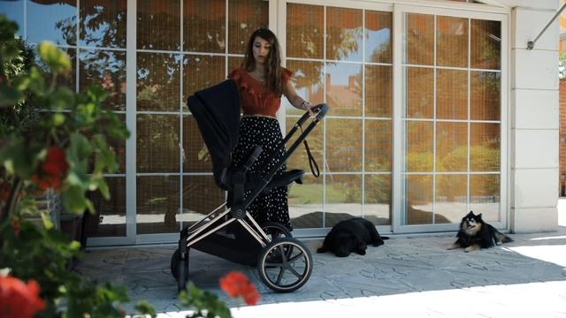 Cybex Priam en español смотреть онлайн