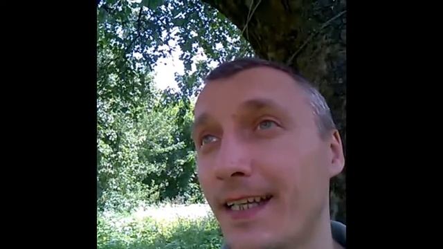 Ясный Свет промежутка смотреть онлайн