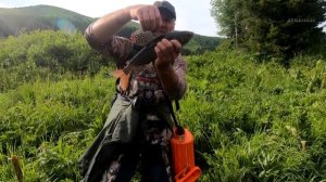 Рыбалка а самом рыбном озере на АЛТАЕ/Что за рыба? Таких чернышей я еще не ловил/Озеро Тайменье #5