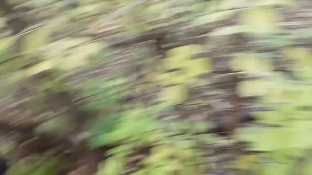 Цена поднялась,копаю возле дома! смотреть онлайн