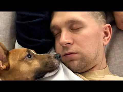 НУЖНО ПОГОВОРИТЬ! ВАЖНО!!! смотреть онлайн