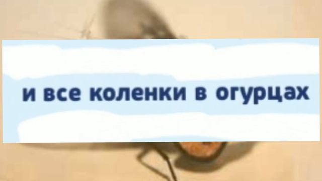 а я тут долго не был... Но я вернулся !😁 смотреть онлайн