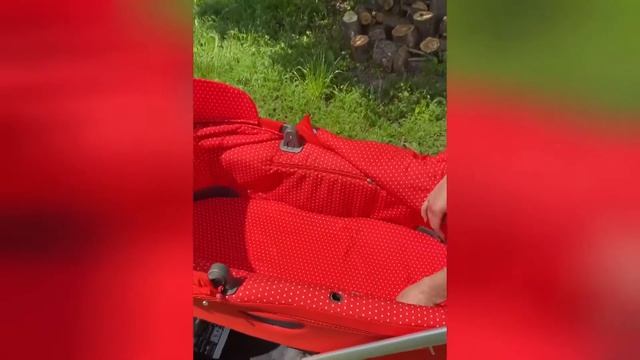 Stokke Trailz соавнения с stokke crusi смотреть онлайн