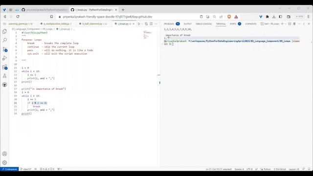 class13 Loops for while walrus operator Exception Handling смотреть онлайн