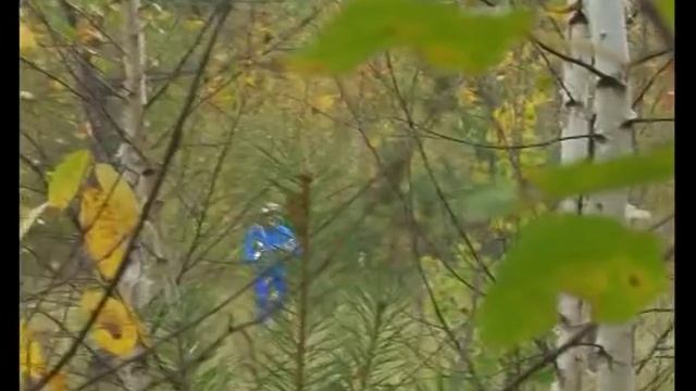 Охота на "лис" смотреть онлайн