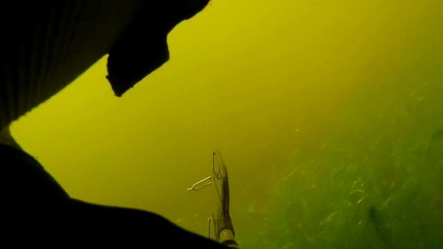 ЛИНЕВОЕ ЦАРСТВО / UNDERWATER HUNTING @rybalkasohotoj