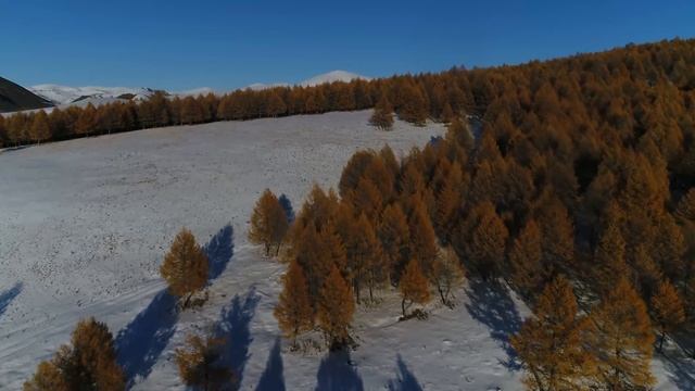 Алтайское горловое пение. Полёт над горами Алтая (УКОК) Алтайские горные бараны. Табын-Богдо-Ула смотреть онлайн