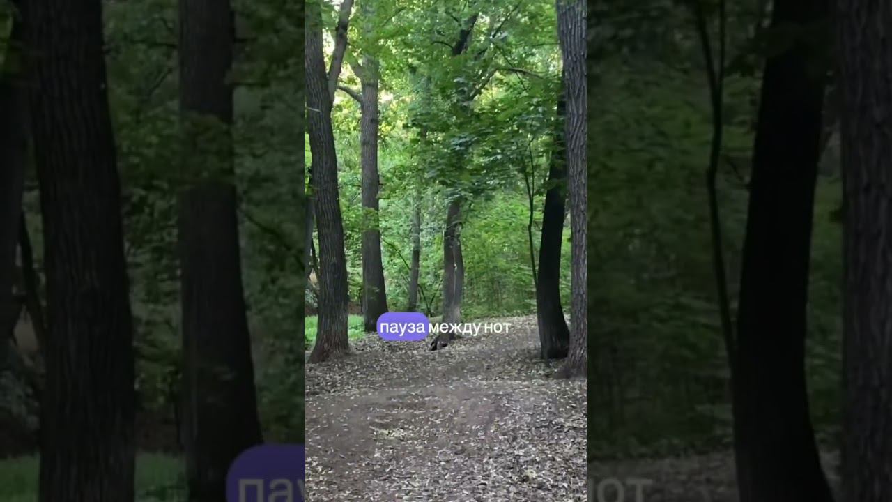 Отдыхайте и восстанавливайте силы! #доктор #релакс