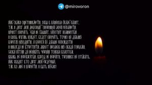Будут лаяться как собаки! Быстрая рассорка с соперницей