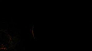 Выпуск 26 - Ловля карпа на матчевую удочку